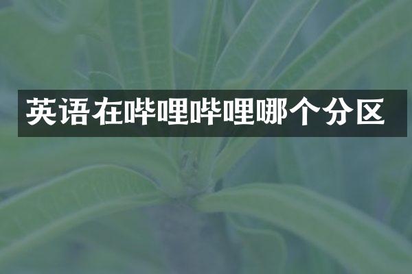 英语在哔哩哔哩哪个分区