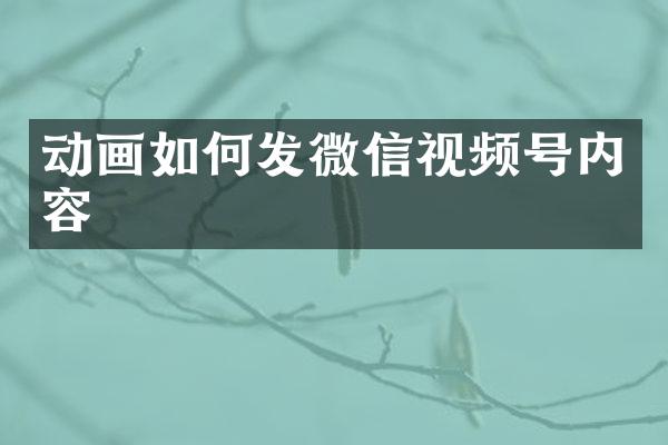 动画如何发微信视频号内容
