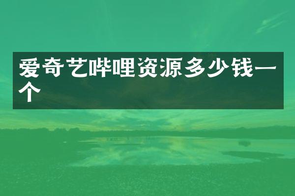 爱奇艺哔哩资源多少钱一个
