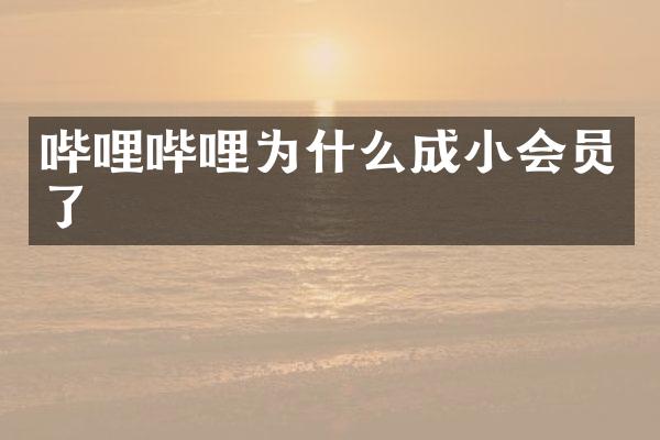 哔哩哔哩为什么成小会员了