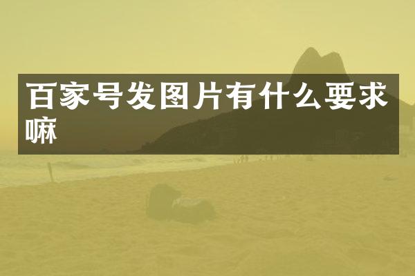 百家号发图片有什么要求嘛