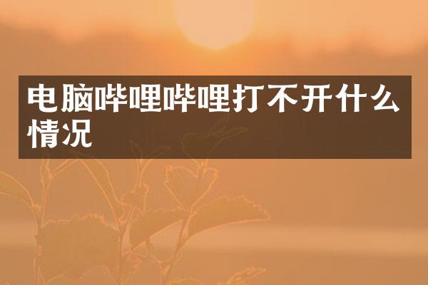 电脑哔哩哔哩打不开什么情况