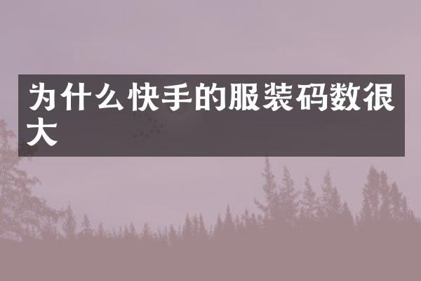 为什么快手的服装码数很大