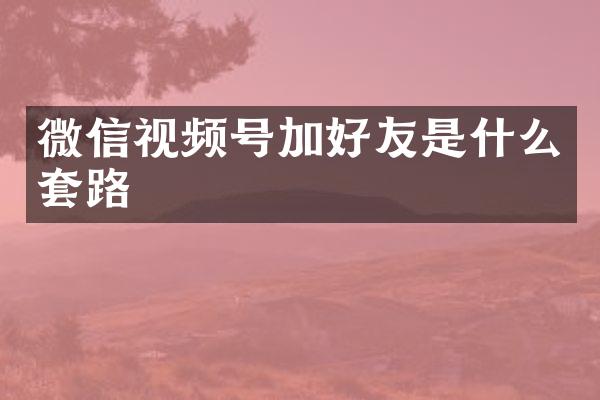微信视频号加好友是什么套路