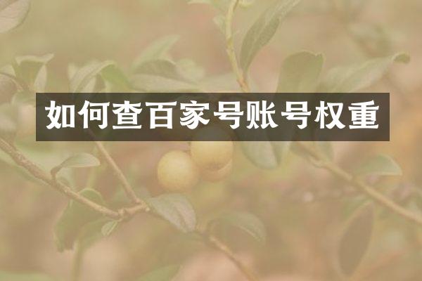如何查百家号账号权重