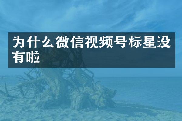 为什么微信视频号标星没有啦