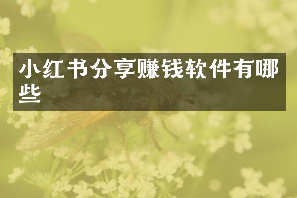 小红书分享赚钱软件有哪些