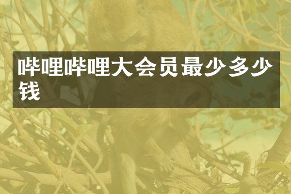 哔哩哔哩大会员最少多少钱