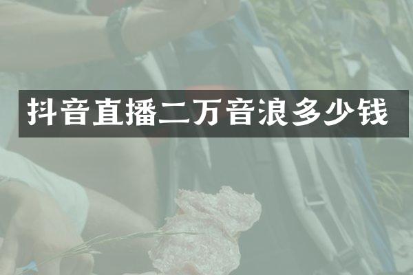抖音直播二万音浪多少钱