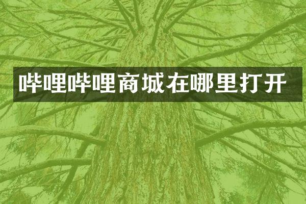 哔哩哔哩商城在哪里打开