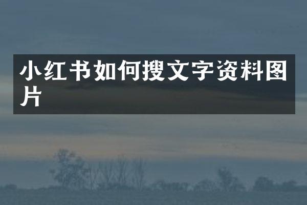 小红书如何搜文字资料图片