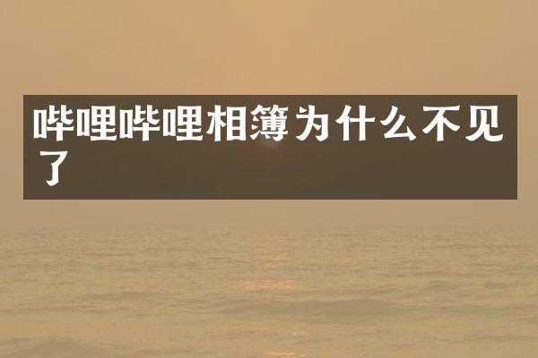 哔哩哔哩相簿为什么不见了