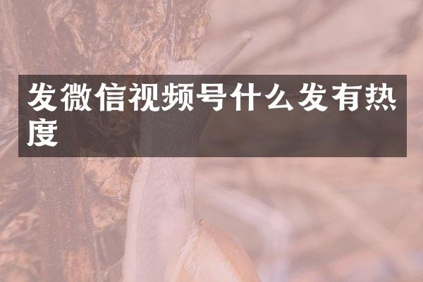 发微信视频号什么发有热度