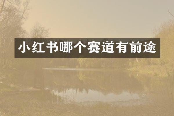 小红书哪个赛道有前途