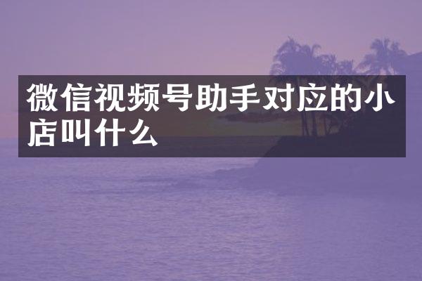微信视频号助手对应的小店叫什么