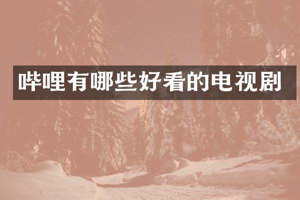 哔哩有哪些好看的电视剧