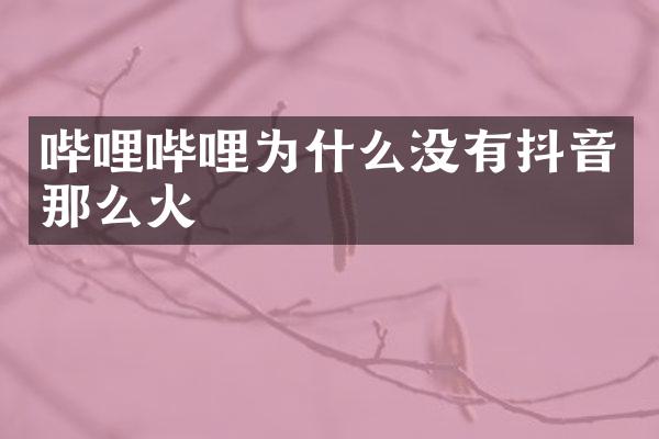 哔哩哔哩为什么没有抖音那么火