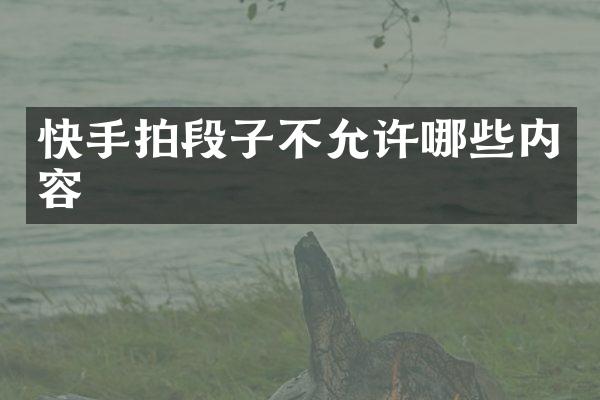 快手拍段子不允许哪些内容