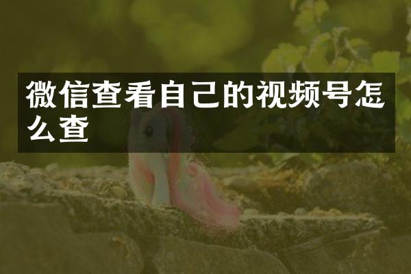 微信查看自己的视频号怎么查