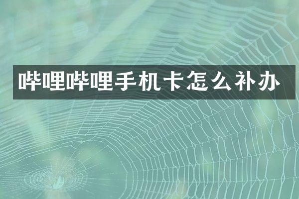 哔哩哔哩怎么补办