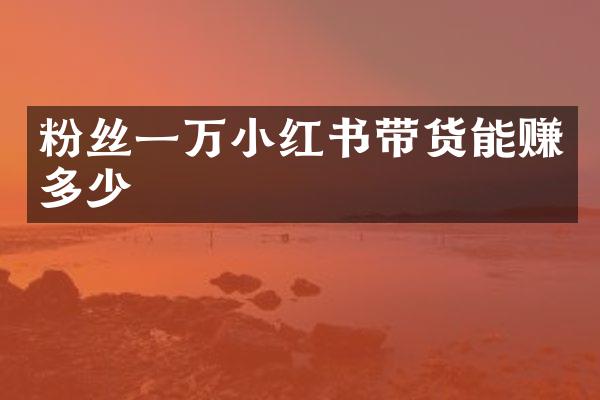 粉丝一万小红书带货能赚多少