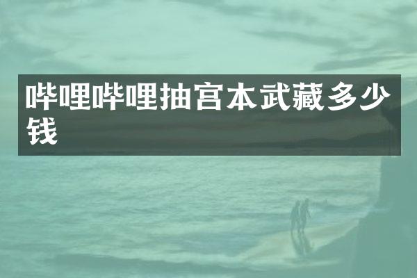 哔哩哔哩抽宫本武藏多少钱