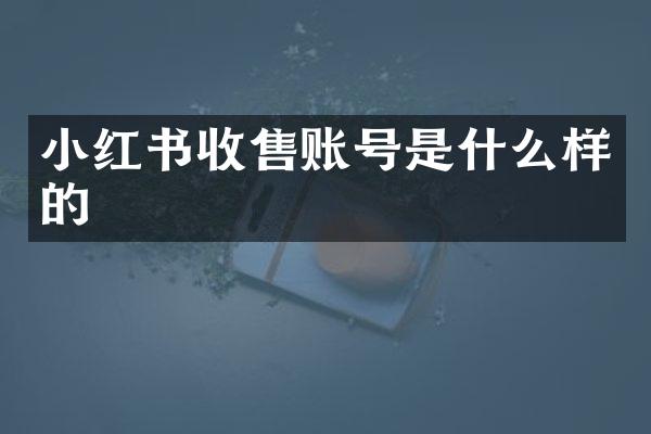 小红书收售账号是什么样的