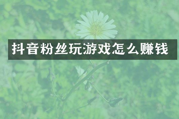 抖音粉丝玩游戏怎么赚钱