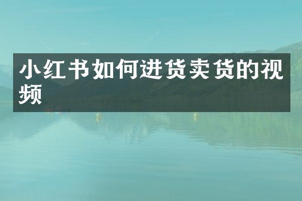 小红书如何进货卖货的视频