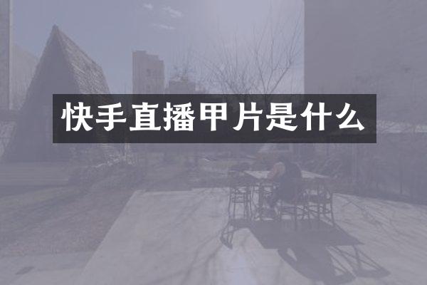 快手直播甲片是什么