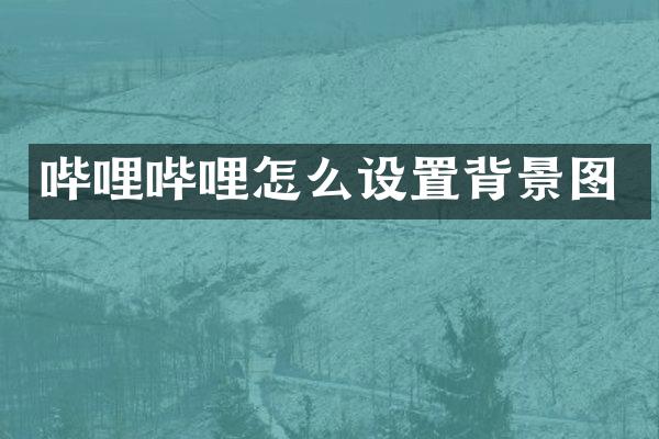 哔哩哔哩怎么设置背景图