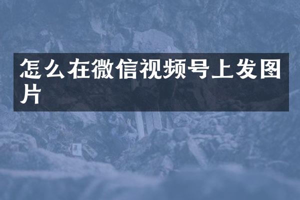 怎么在微信视频号上发图片
