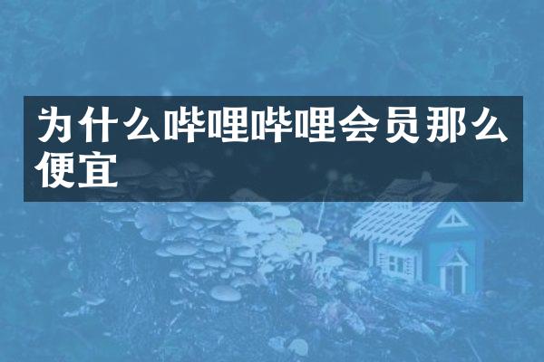 为什么哔哩哔哩会员那么便宜