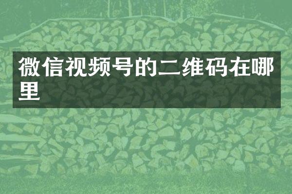 微信视频号的二维码在哪里