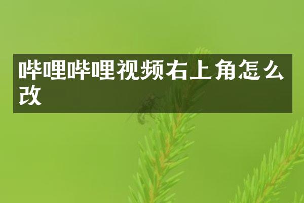 哔哩哔哩视频右上角怎么改
