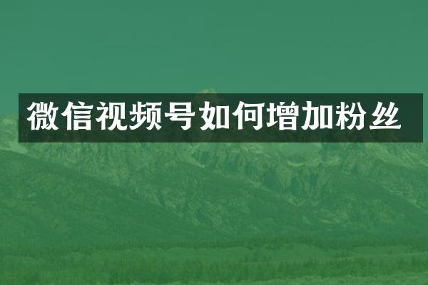 微信视频号如何增加粉丝