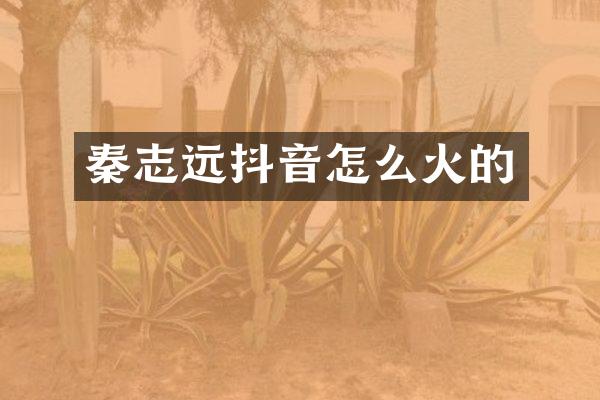 秦志远抖音怎么火的