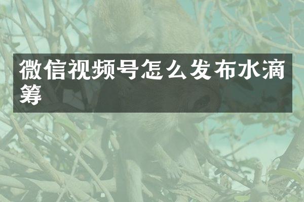 微信视频号怎么发布水滴筹