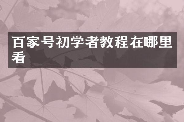 百家号初学者教程在哪里看