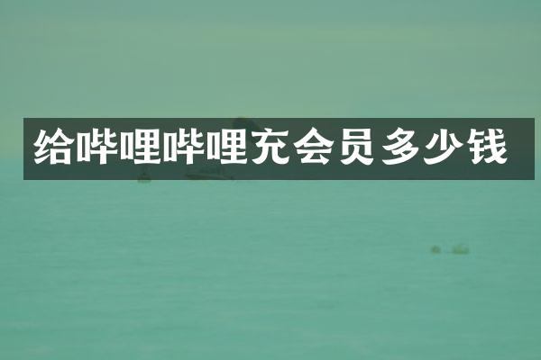 给哔哩哔哩充会员多少钱