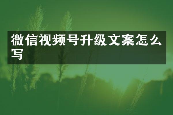 微信视频号升级文案怎么写