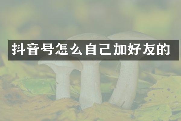 抖音号怎么自己加好友的