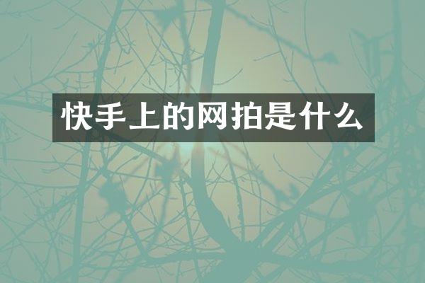 快手上的网拍是什么