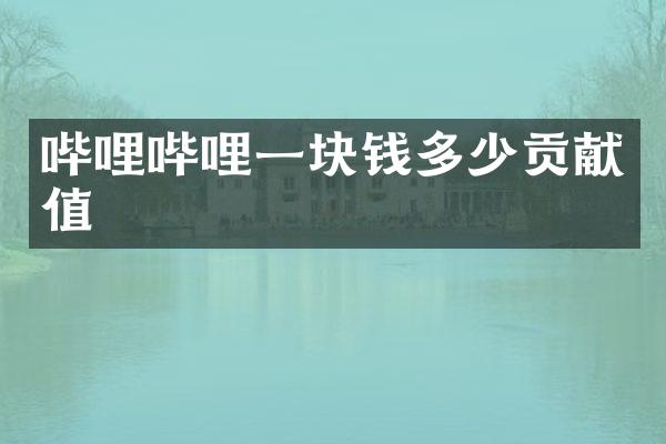 哔哩哔哩一块钱多少贡献值