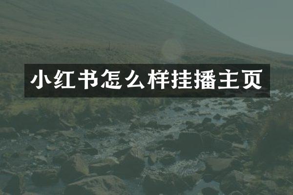 小红书怎么样挂播主页