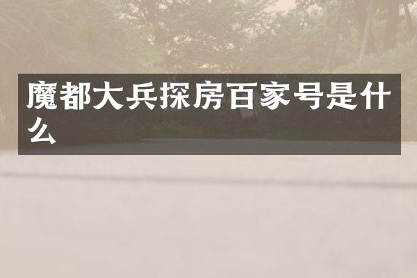 魔都大兵探房百家号是什么