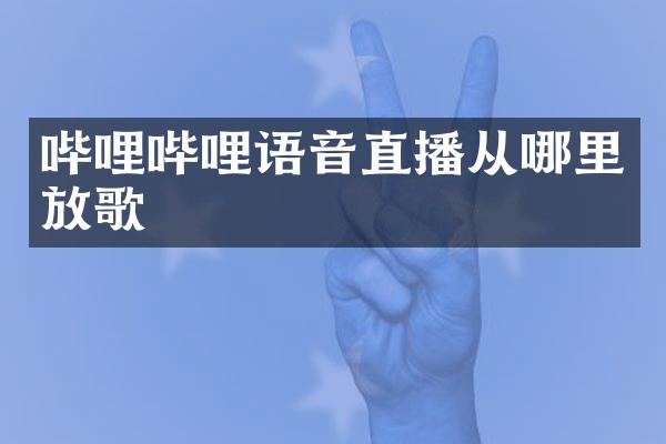 哔哩哔哩语音直播从哪里放歌