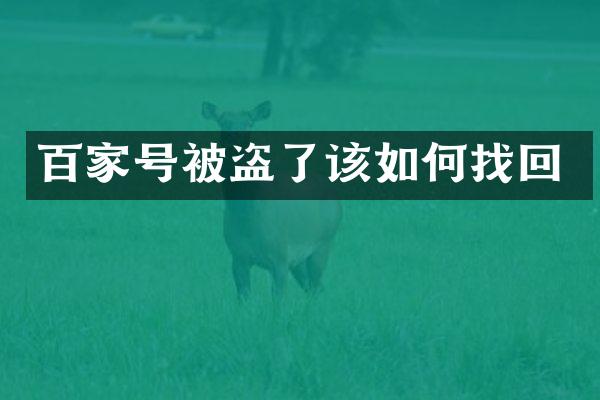百家号被盗了该如何找回