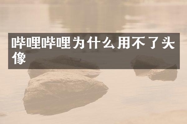 哔哩哔哩为什么用不了头像