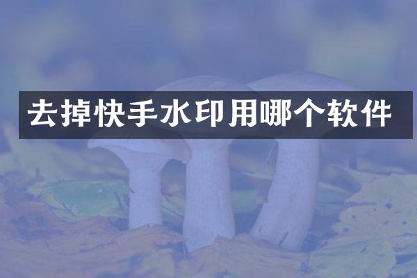 去掉快手水印用哪个软件